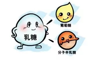 90%以上的人都有“乳糖不耐症”，寶媽春季實力之選