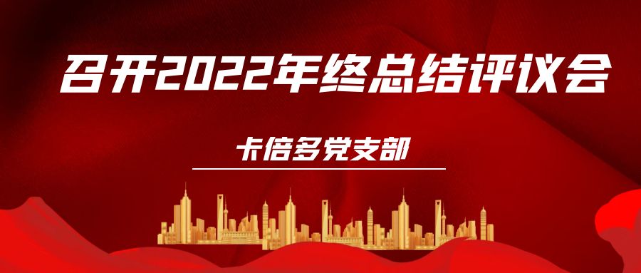 雏鸟APP黨支部召開2022年終總結評議會